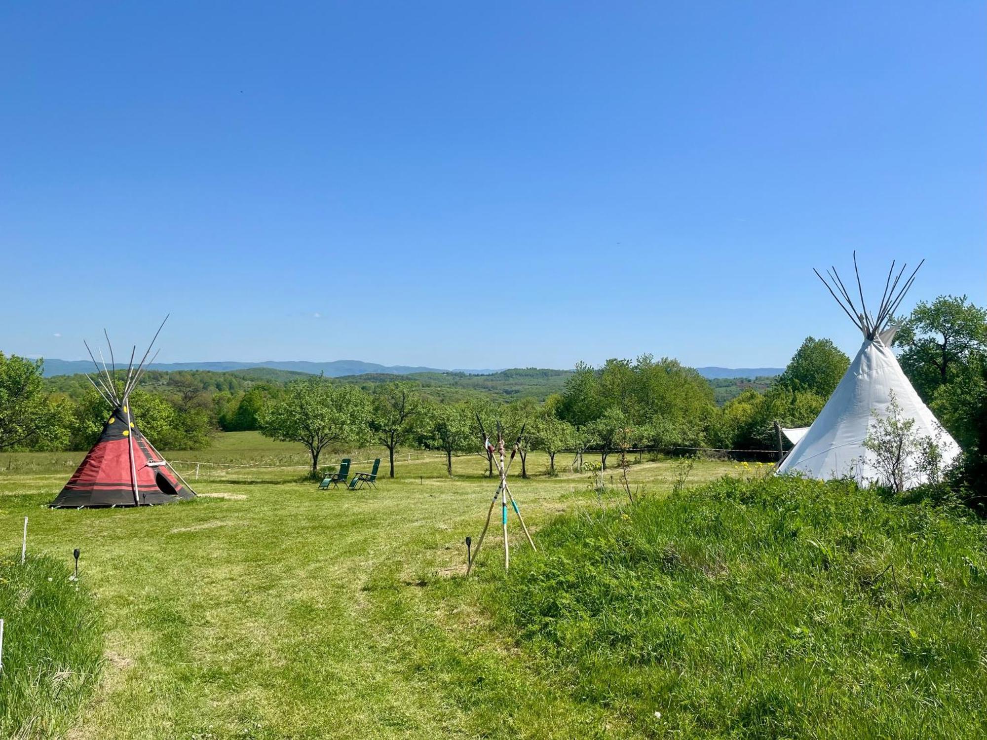 Romantic Wildlife Tipi Teepee Tomnatic Bihor Romania Apuseni Tomnatic (Bihor)